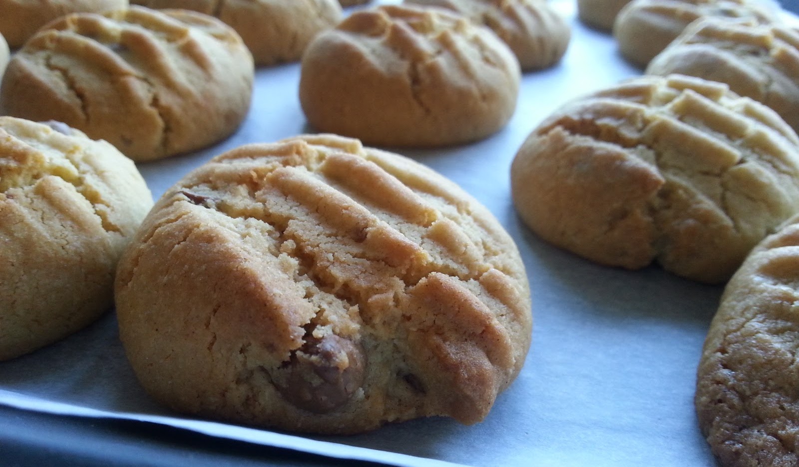 Almond and chocolate chip biscuit