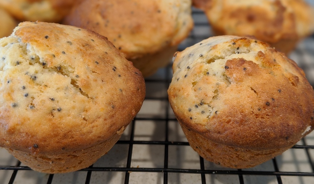 Orange & Poppyseed Muffins